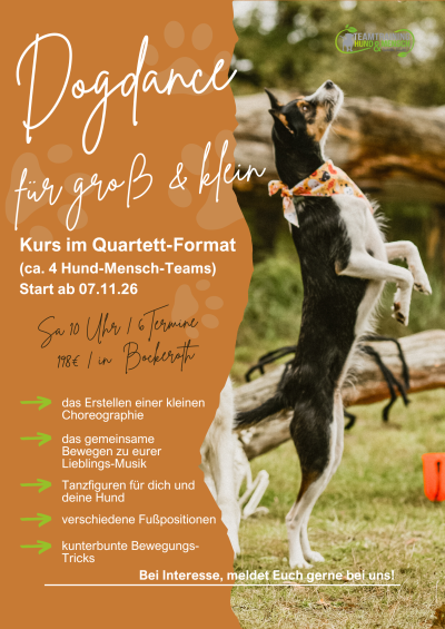 Dogdance KIDS KURS (3)