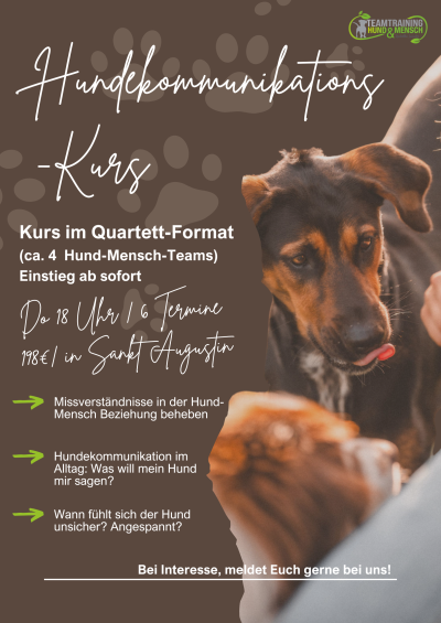 Hundekommunikations KURS (8)