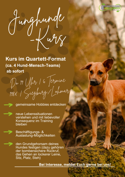 Junghunde Kurs(Quartett) (8)