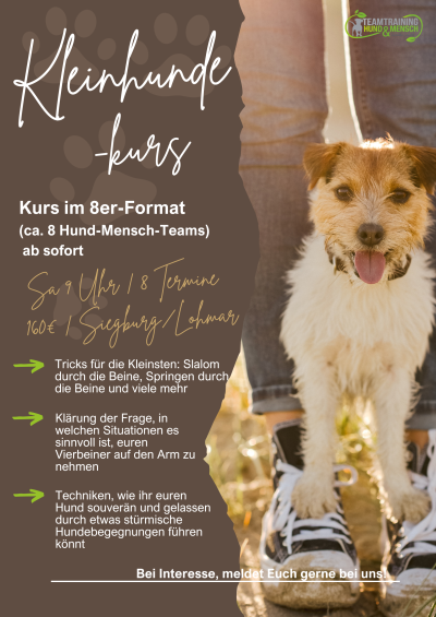 Kopie Von Kleinhunde Kurs(Quartett)
