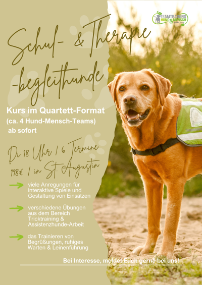 Schul & Therapiebegleithunde KURS (2)