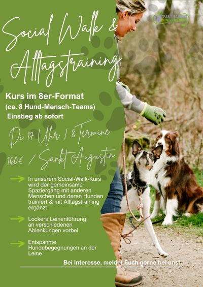 Social Walk & Alltagstraining 8er KURS